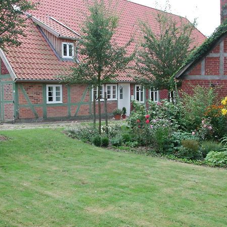 Ferienwohnung Am Elbdeich Bleckede Esterno foto