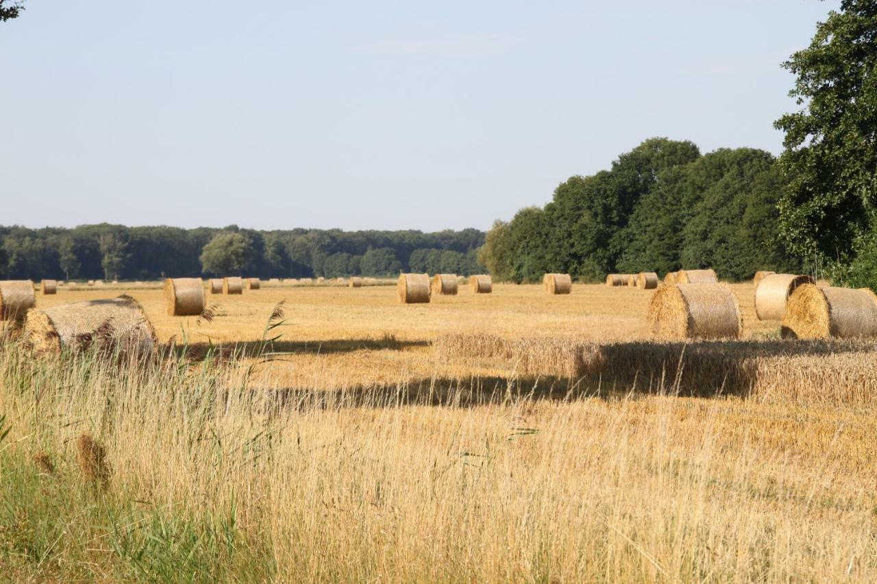 Ferienwohnung Am Elbdeich Bleckede Esterno foto
